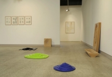 charles-anderson-the-architecture-of-stains-2010-installation-view