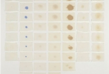 charles-anderson-the-architecture-of-stains-2010-temporal-traces-k-q-medical-staining-agents-on-water-colour-paper
