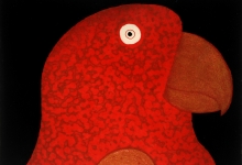 red-parrot-2013-etching-aquatint-15-x-20-cm-edition-35-dean-bowen-lres