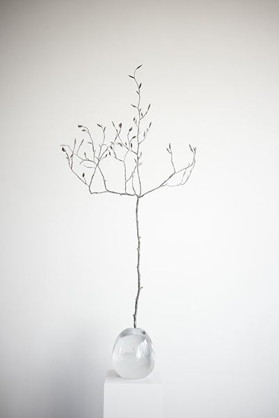 Seed I (Asia), 2017 <br /> crystal and bronze, dimensions variable