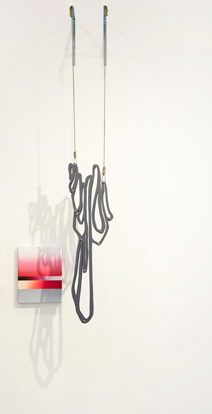 9. 'shadow drip 2', acrylic and oil on canvas and MDF, stainless steel, rope, painting: 47 x 36 cm, installation dimensions variable, (diptych), 2015